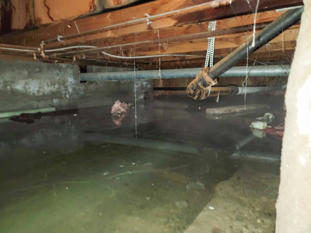  Candler Mcafee, GA Water damage restoration Pros
