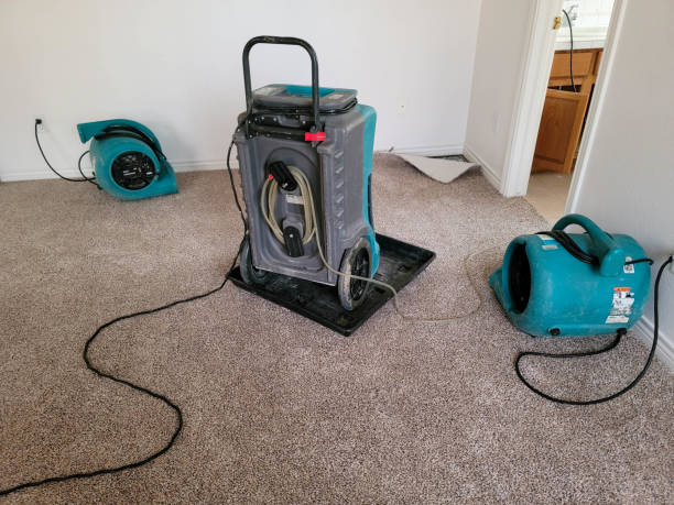 Best Water damage restoration near me  in Candler Mcafee, GA