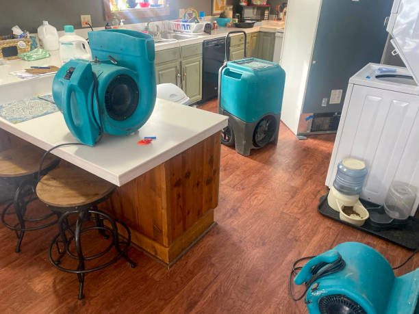 Best Residential water damage restoration  in Candler Mcafee, GA