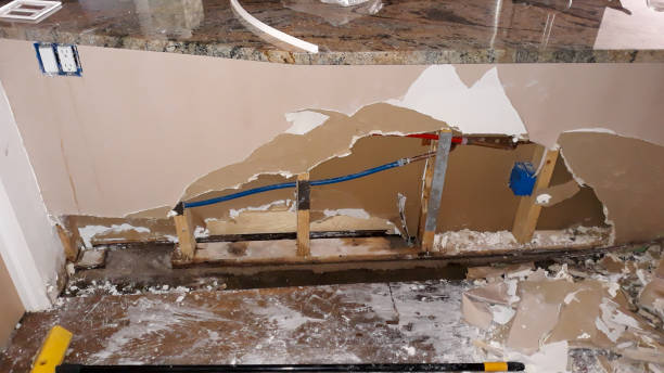 Best Flooded house restoration  in Candler Mcafee, GA