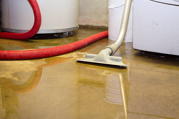 Best Flood restoration services  in Candler Mcafee, GA
