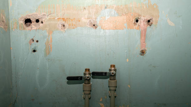 Best 24/7 water damage repair  in Candler Mcafee, GA