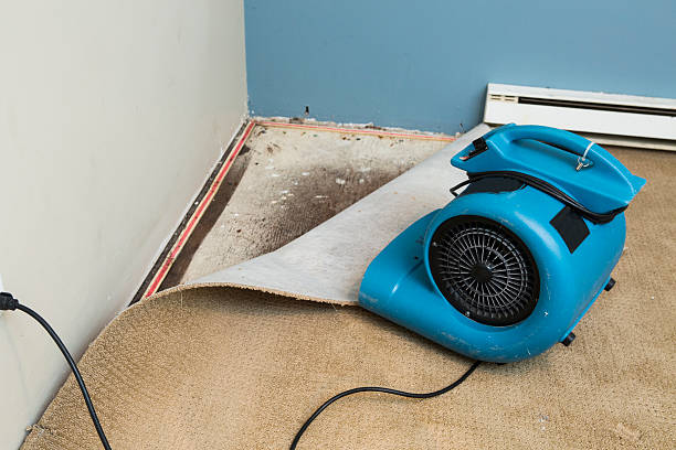Best Basement water damage restoration  in Candler Mcafee, GA